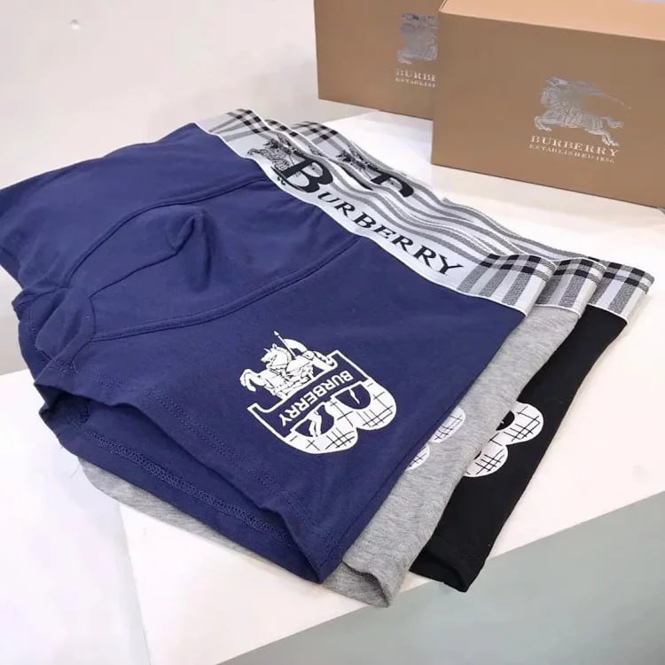 Burberry Check Logo Boxer Briefs [6 styles] -4