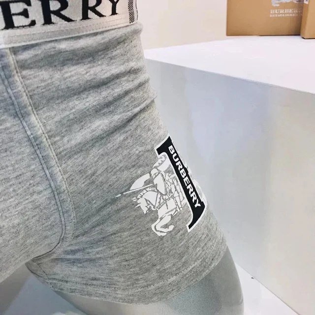 Burberry Check Logo Boxer Briefs [6 styles] -3