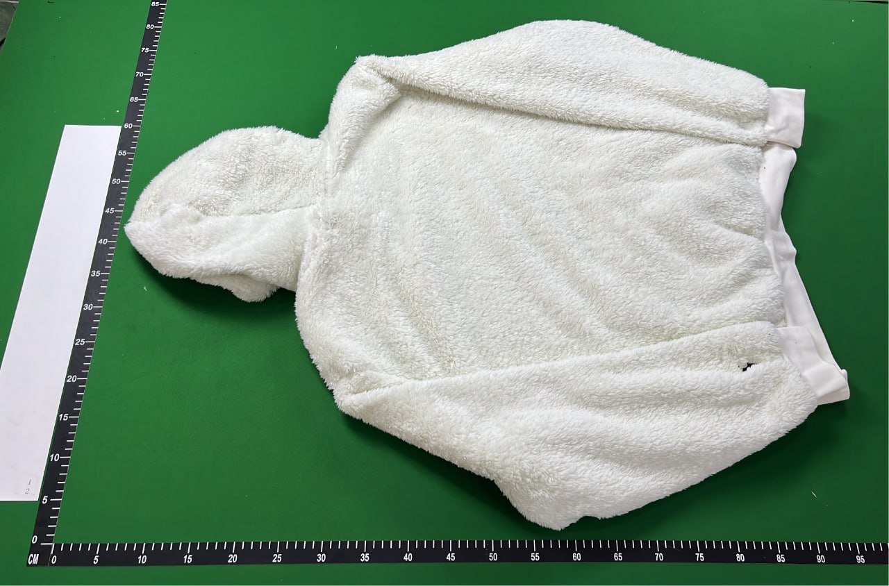 Ralph Lauren Polo Fuzzy Hoodie for Men [4 styles] -4