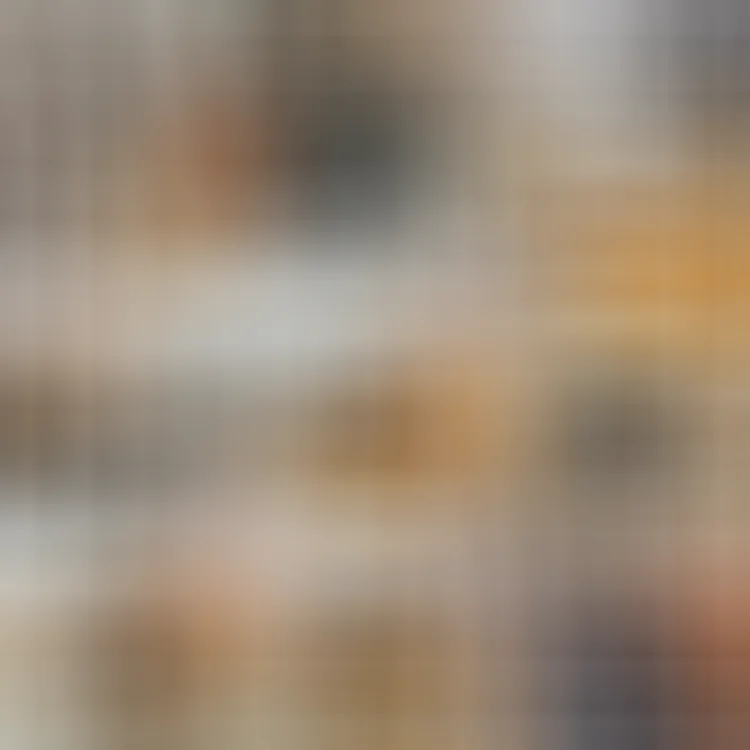 LV Speedy  Alma  Neverfull  Bu