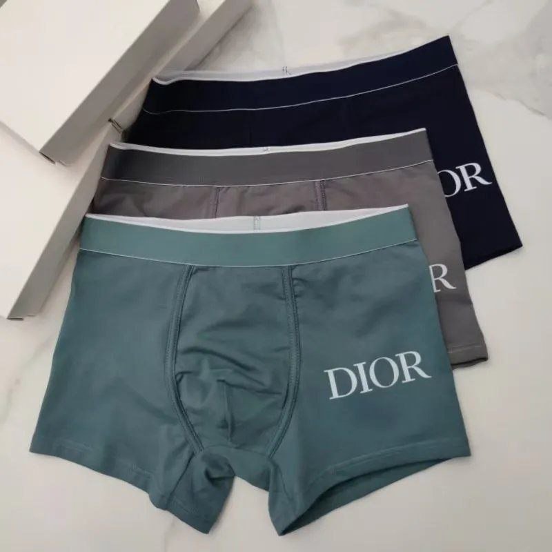 Dior Floral and Solid Underwear [29 styles] -2