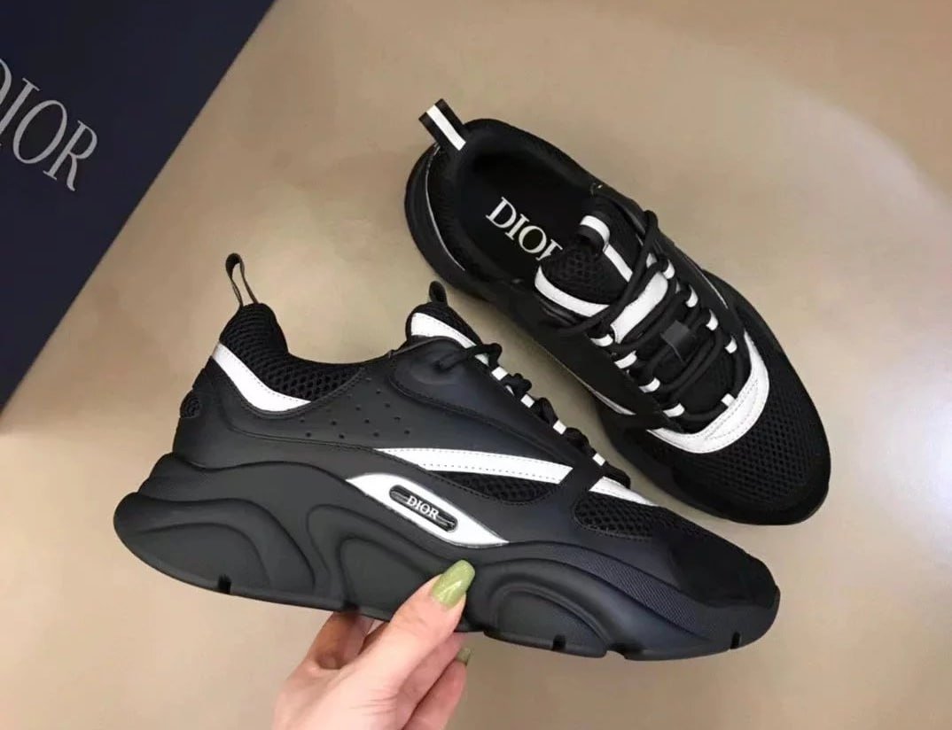 Dior B22&Dior B30（Reflective） -2