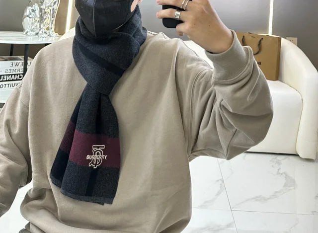 LV Louis Vuitton Burberry scarf (33 styles) -2