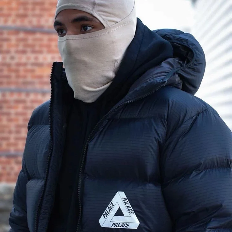 Palace down jacket