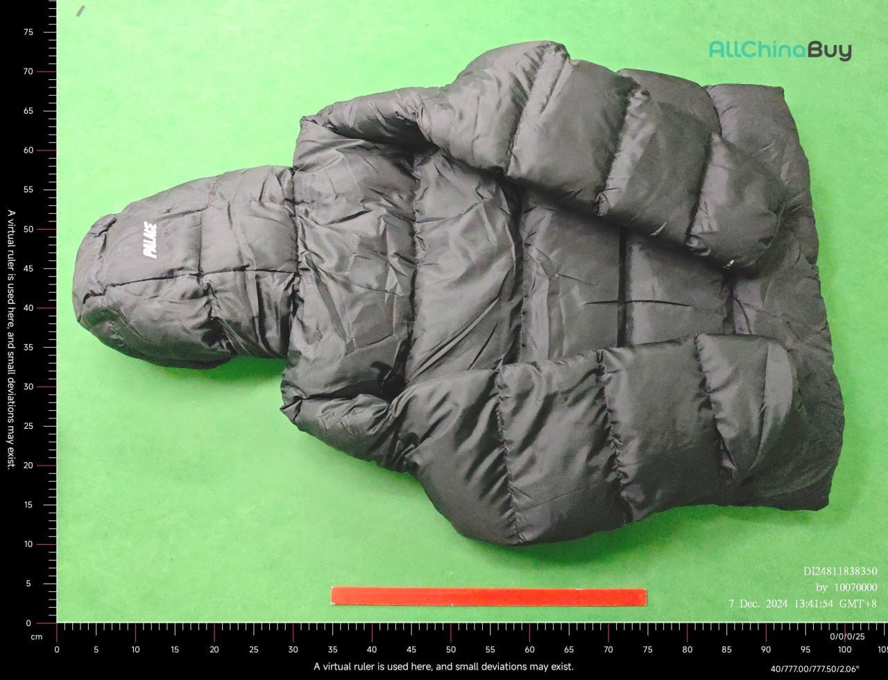 Palace down jacket -2