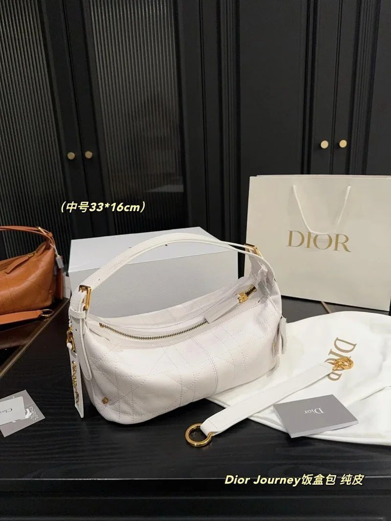 Dior bags -4