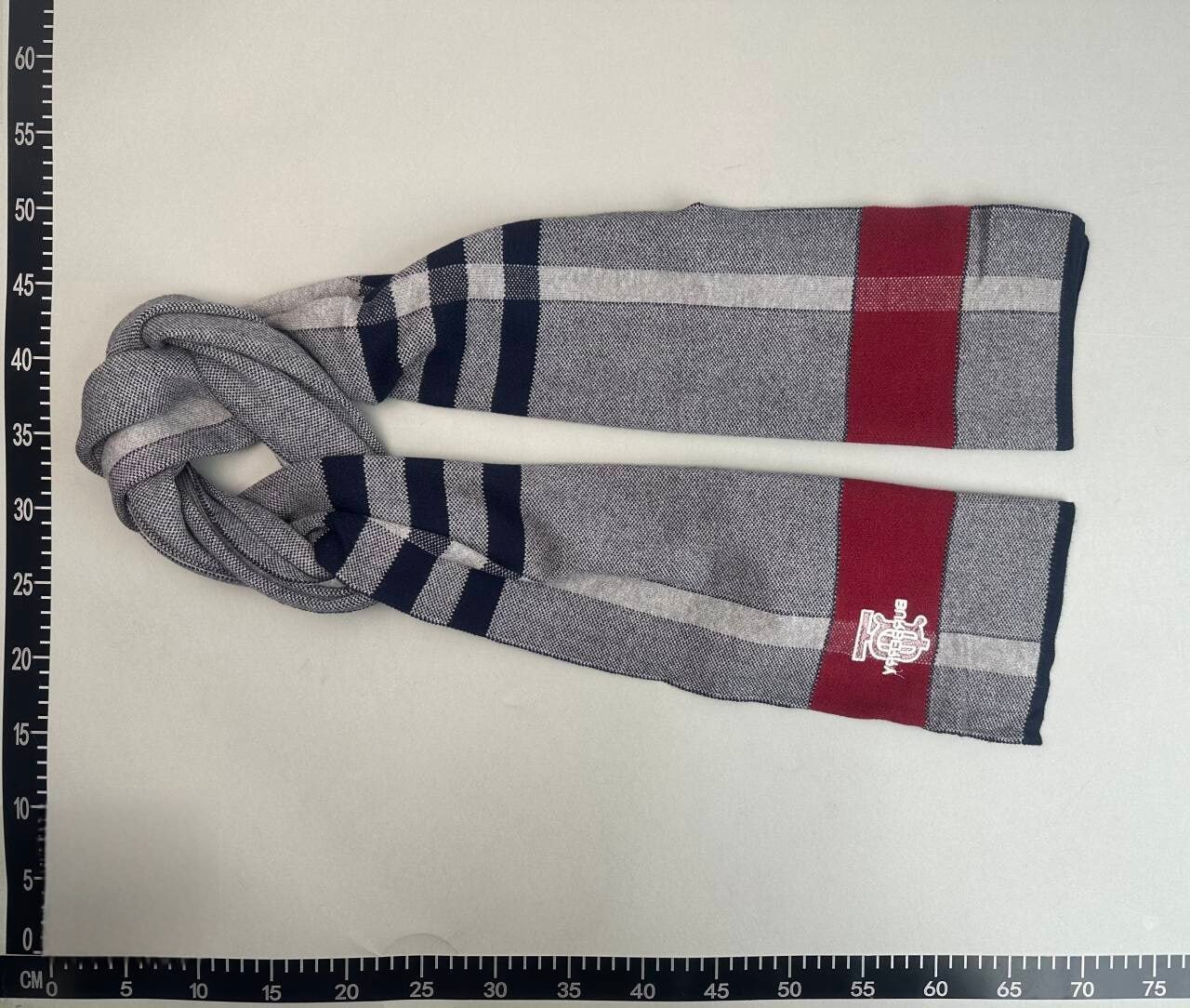 Burberry scarf（24 STYLE TOP） -2