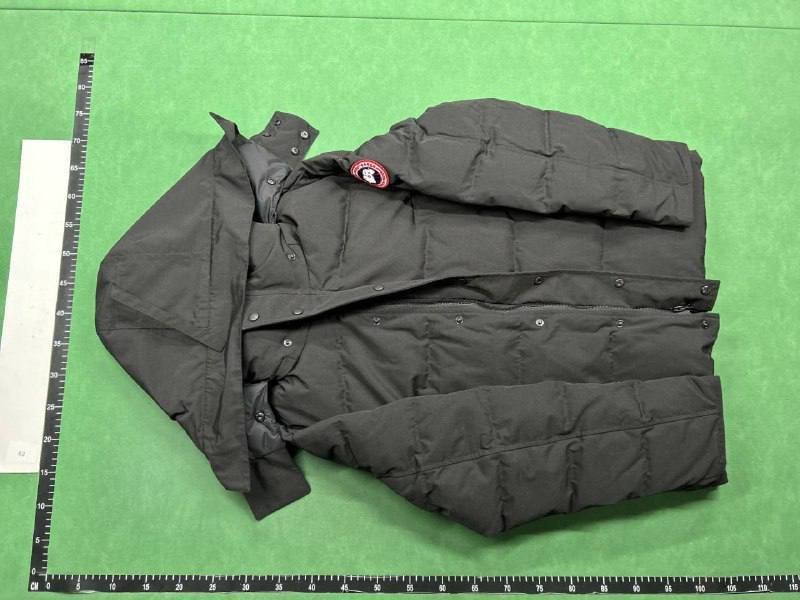 Moncler Canada Goose Ralph Lauren TNF down Jacket -2