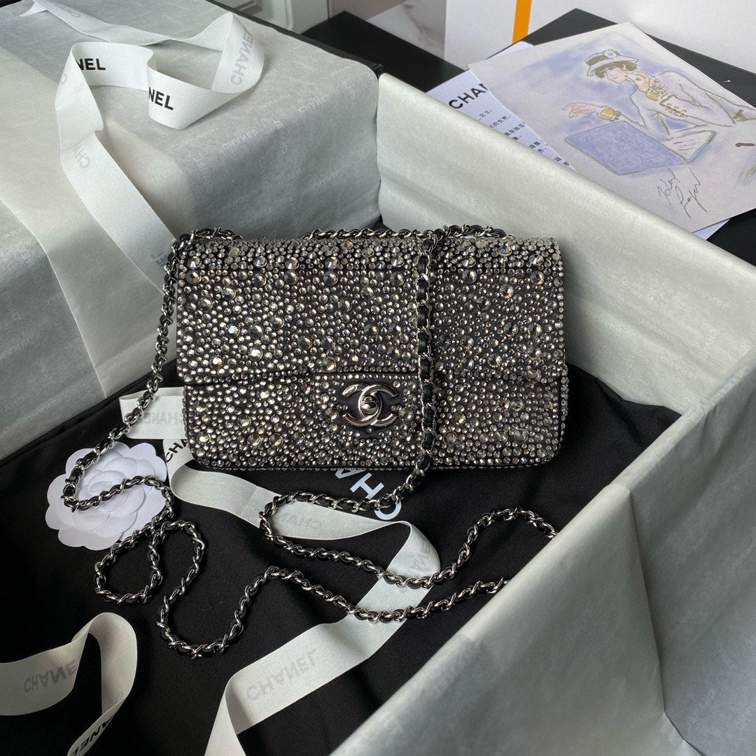 Chanel  bags -3