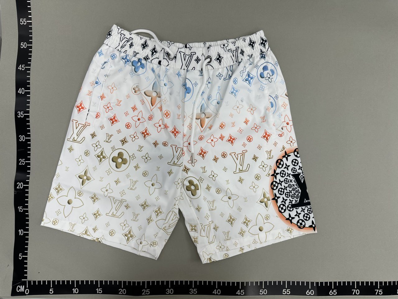 Louis Vuitton Shorts -2
