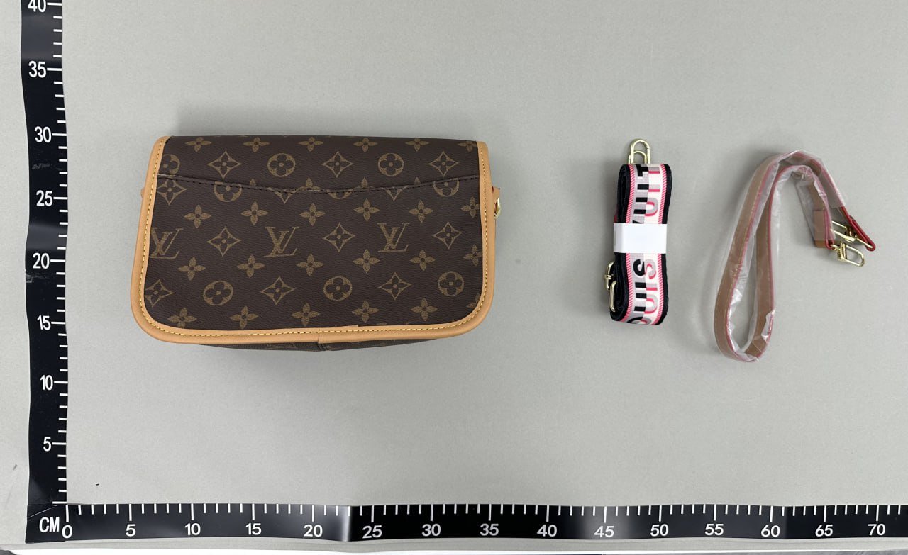 Louis Vuitton Bag -3