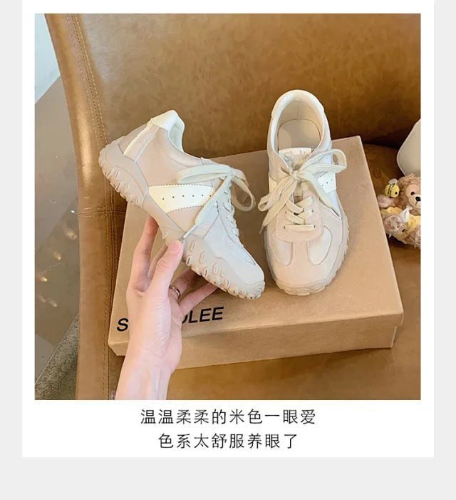 BESE quality studiolee -4