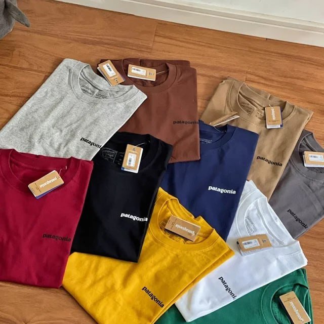 best 11Patagonia TEE -2