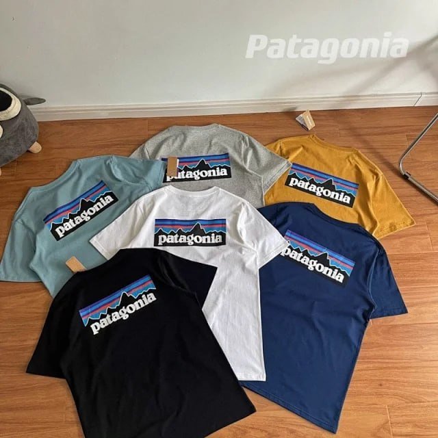 best 11Patagonia TEE -4
