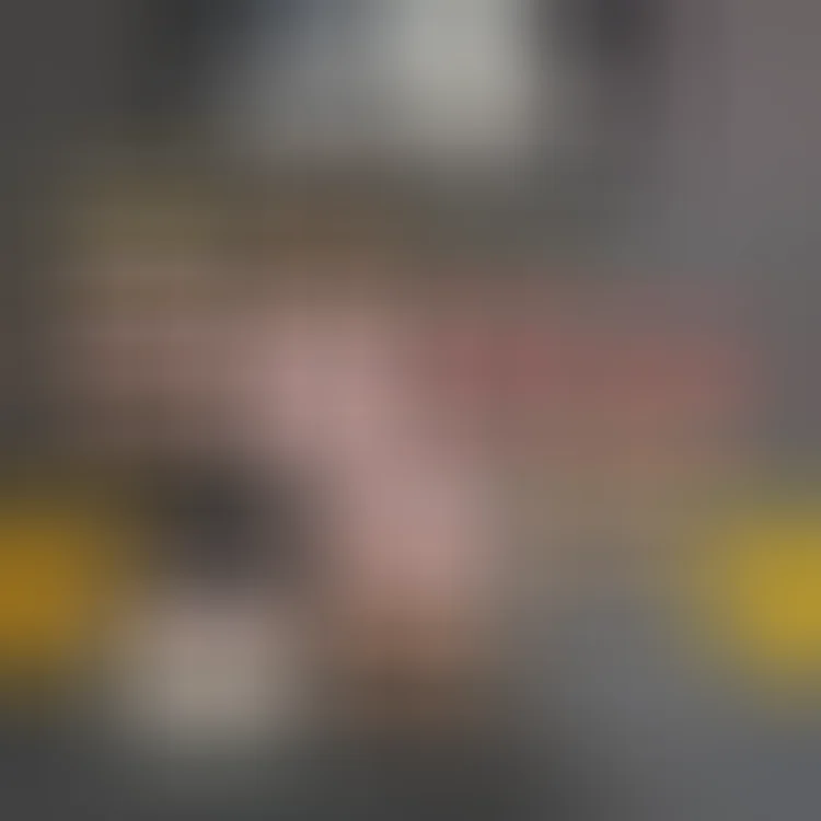  Louis Vuitton Monogram & 