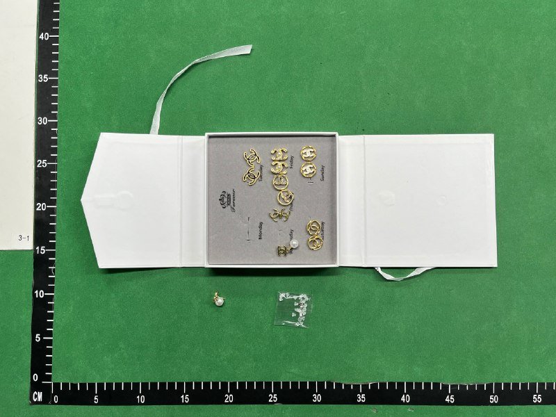 Gucci GG Supreme Earrings [29 styles] -4