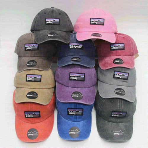 Patagonia P-6 Label Trad Cap [