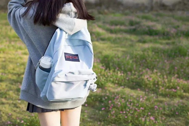  JANSPORT SuperBreak Backpack [29 styles] -4