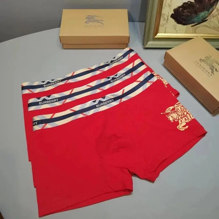 Burberry Warhorse Logo Boxer Briefs [3 styles] -3