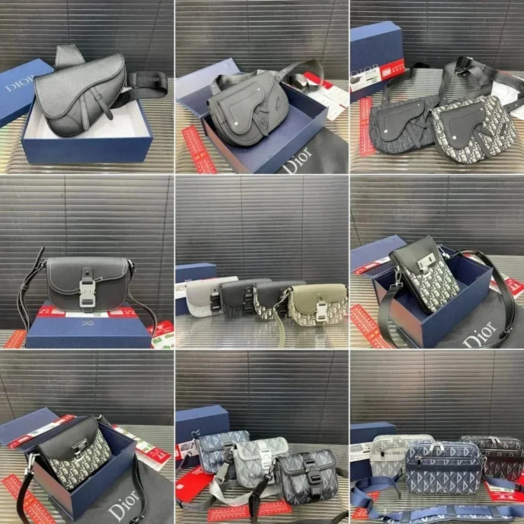Dior Saddle Bag [40 styles]