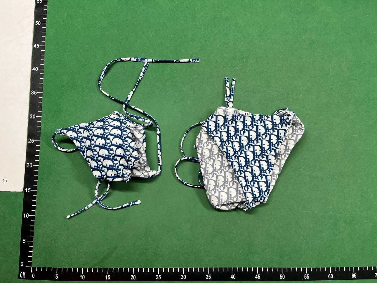  Dior swimsuit                                                                                                         -2