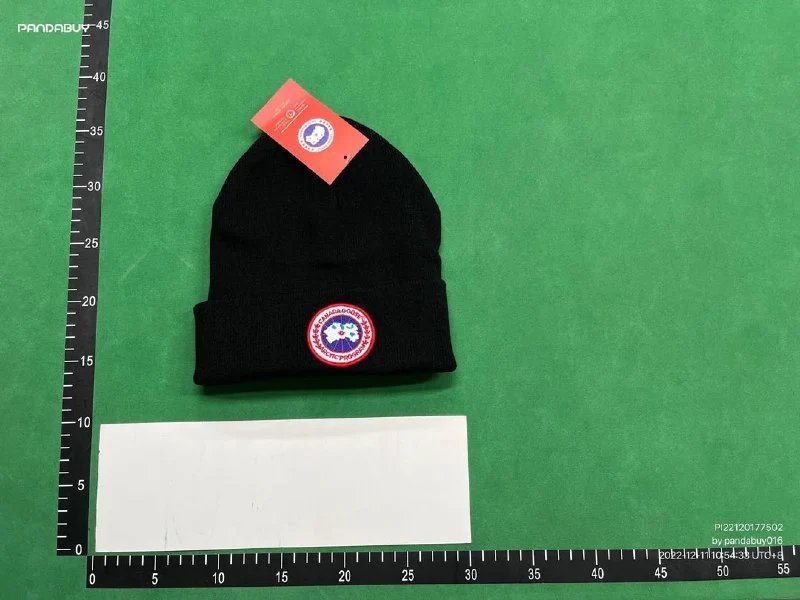 Canada GooseDSQ2 Beanie（38+ Styles） -3