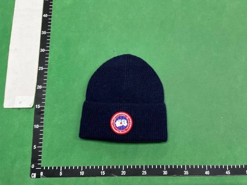 Canada GooseDSQ2 Beanie（38+ Styles） -4