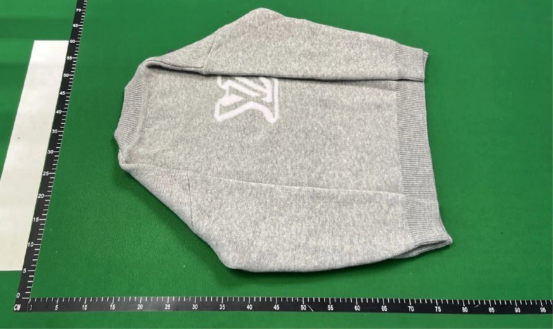 LV Hoodie（20+） -3