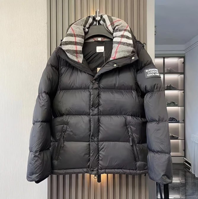 Goose & Burberry  down jacket -2
