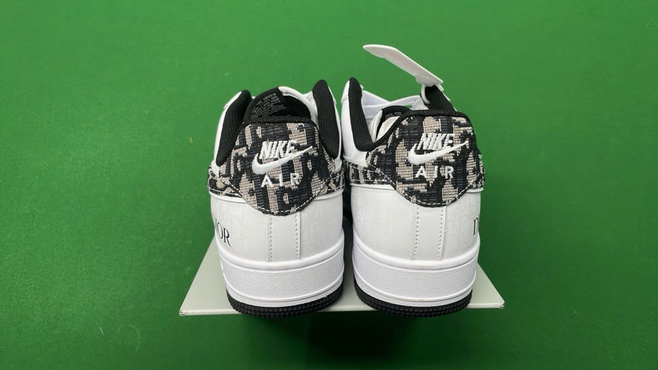 NIKE x DIOR shoes -3