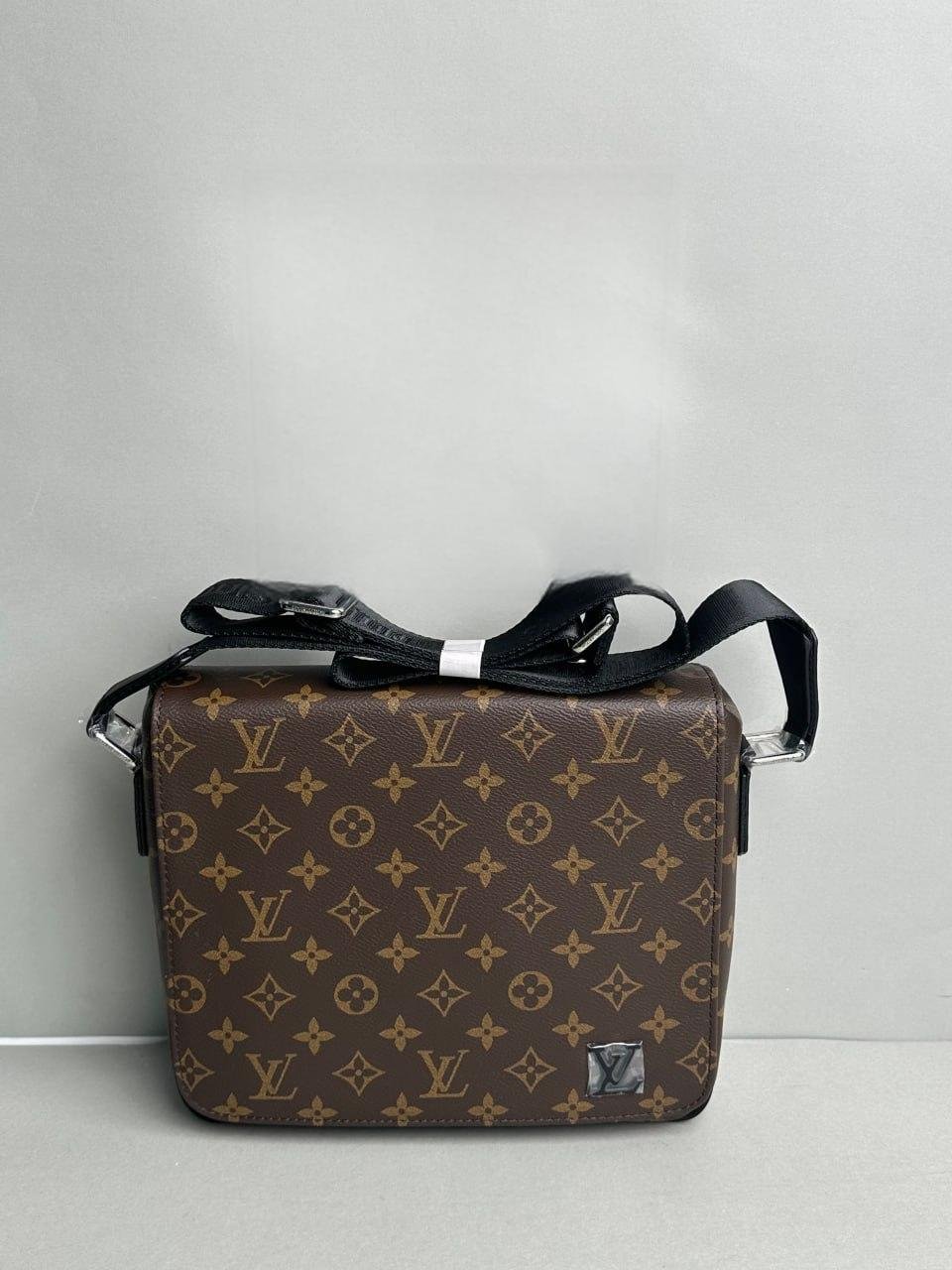 LV Bag -4