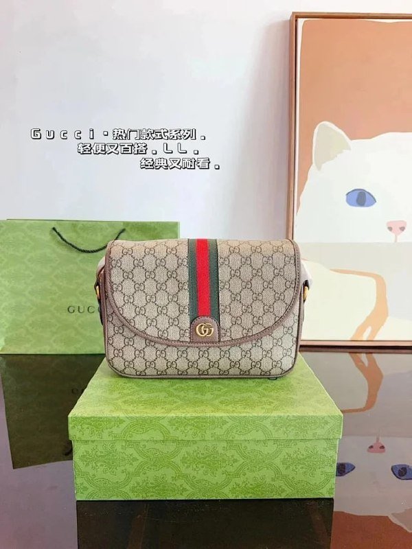 Dior Gucci Bags (40 styles -3