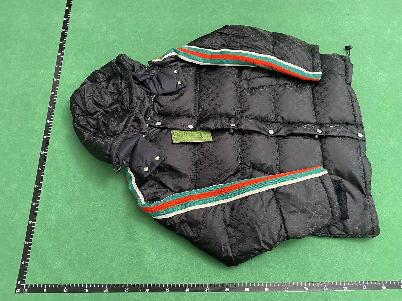  Designer down jacket -2
