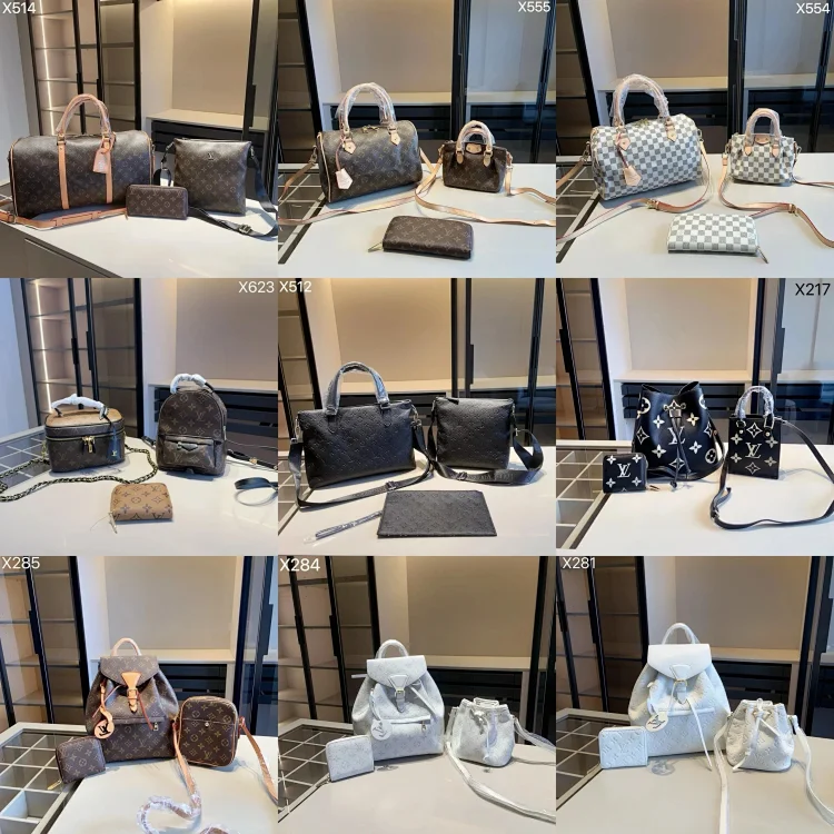 Lv/Chanel/YSL/Gucci/Dior/Miumi