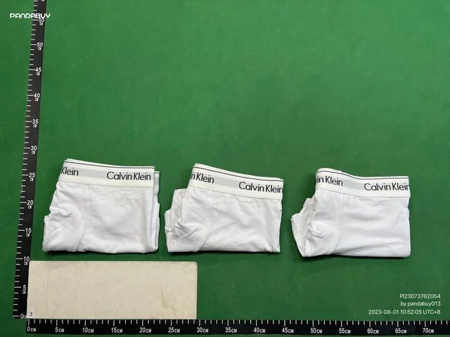 CK Underwear(30 styles) -4