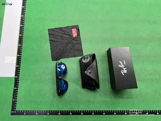 RayBan Sunglasses -3