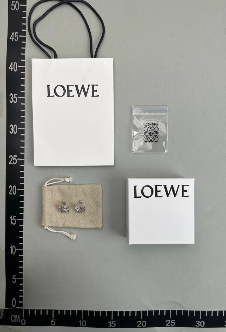  Loewe Earring -2